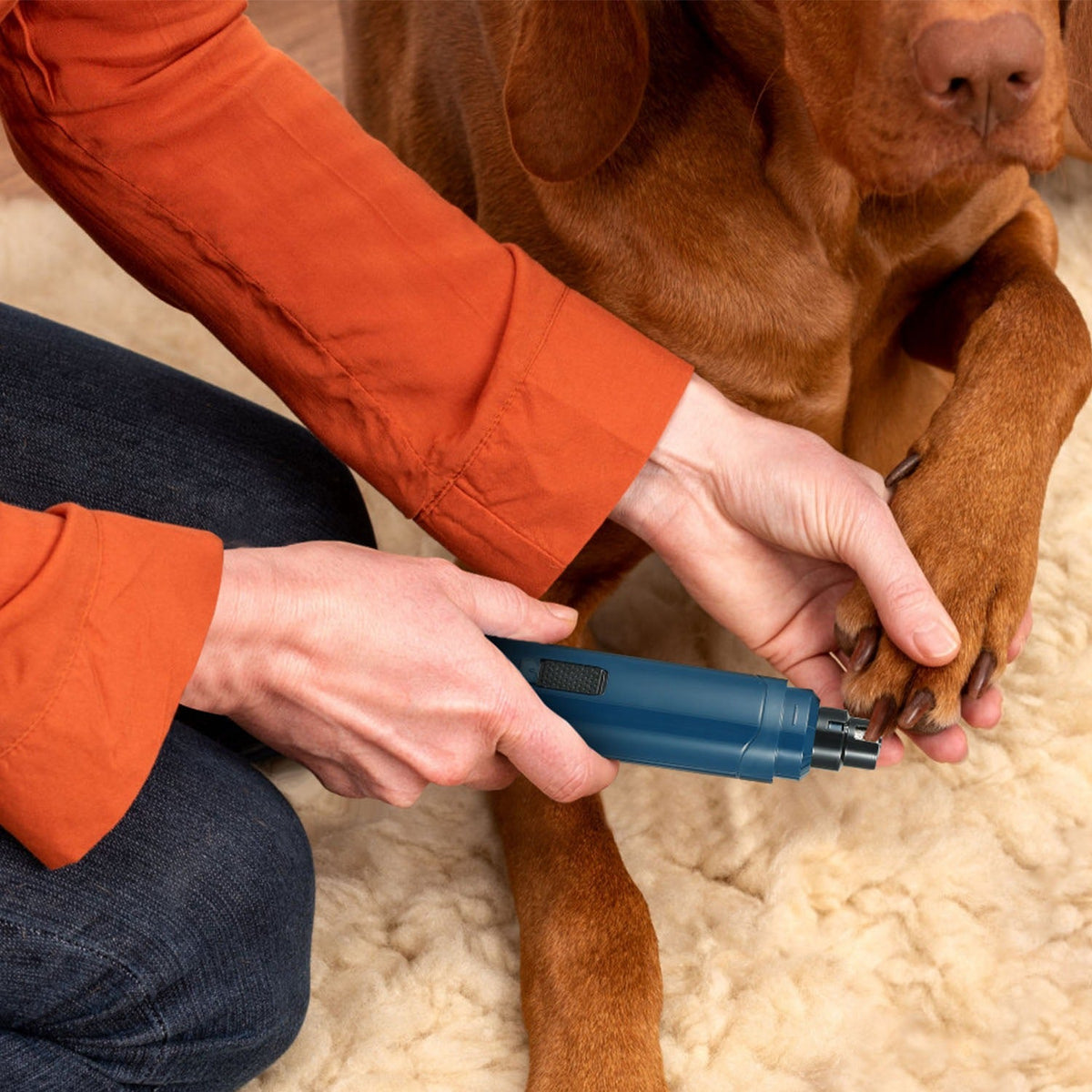 Quiet Dog Nail Grinder