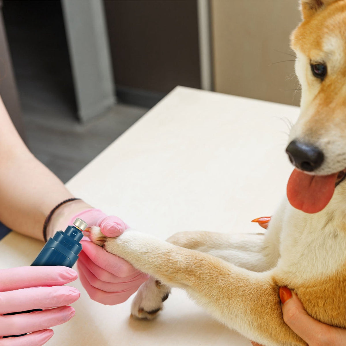 Quiet Dog Nail Grinder